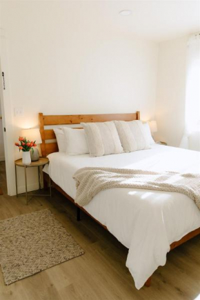 Cozy Downtown Havens